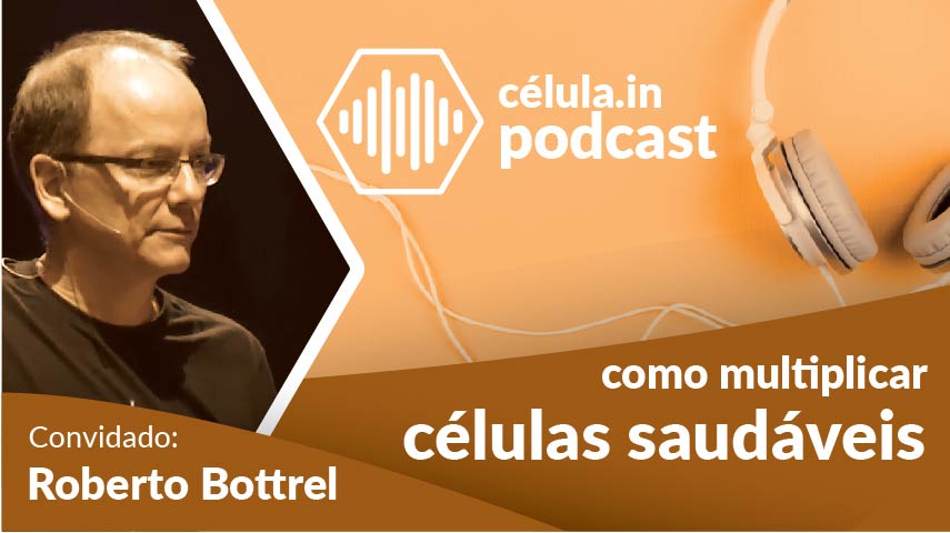 app-para-igreja-em-celulas-como-multiplicar-celulas-saudaveis-episodio-010